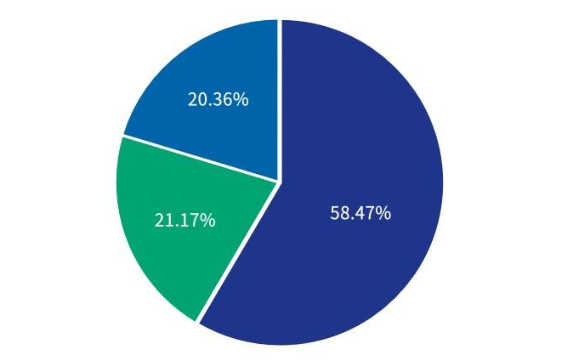 《巴西巴西计算机软件程序保护法》